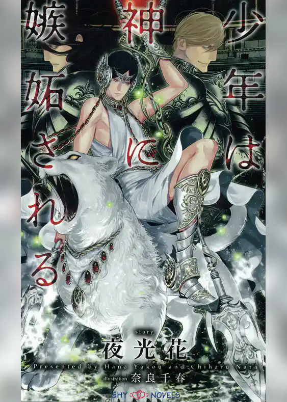 少年は神に嫉妬される　【イラスト付】