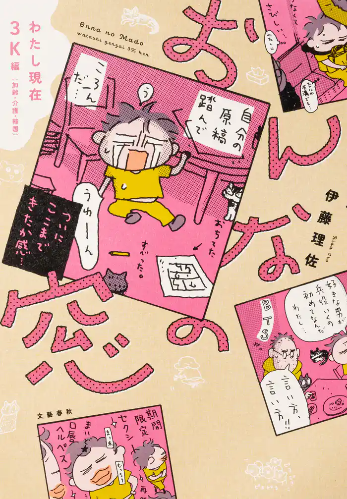 おんなの窓 わたし現在3K編(加齢・介護・韓国)