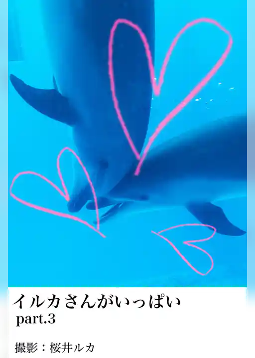 イルカさんがいっぱいpart.3