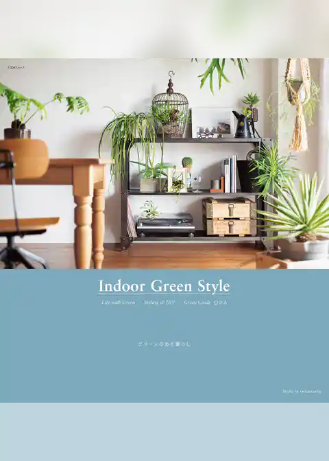 Ｉｎｄｏｏｒ　Ｇｒｅｅｎ　Ｓｔｙｌｅ　グリーンのある暮らし