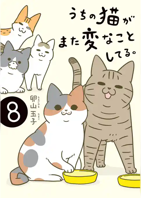 うちの猫がまた変なことしてる。