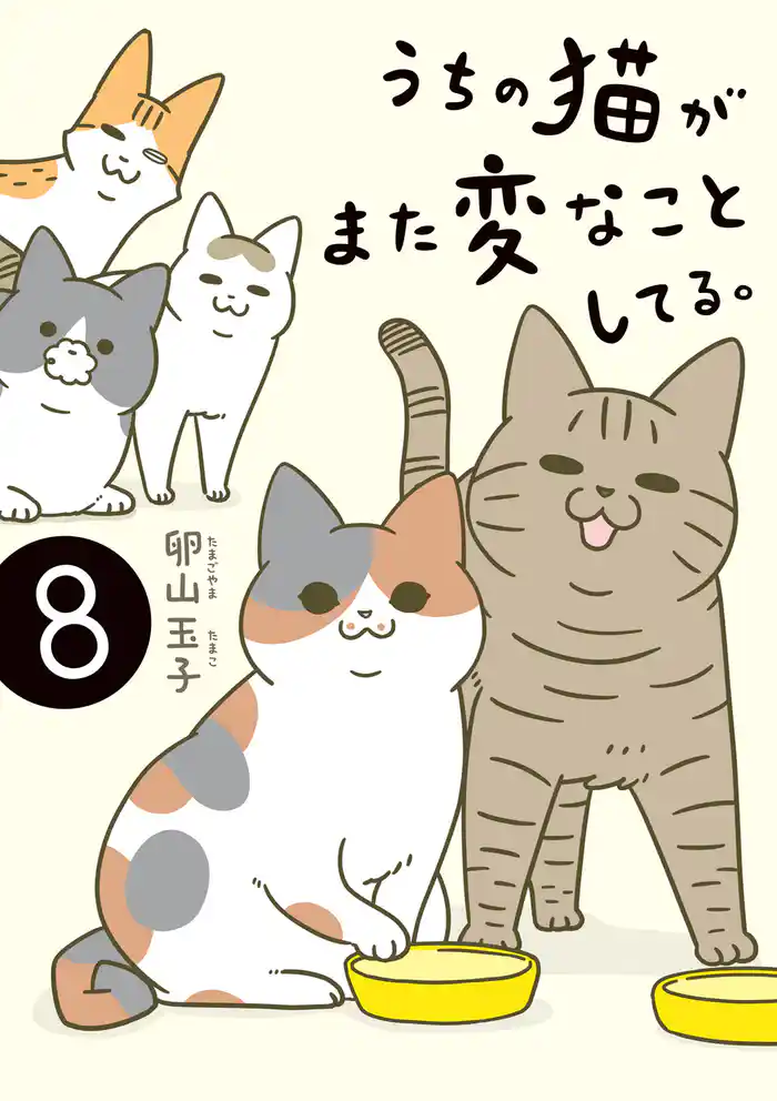 うちの猫がまた変なことしてる。8