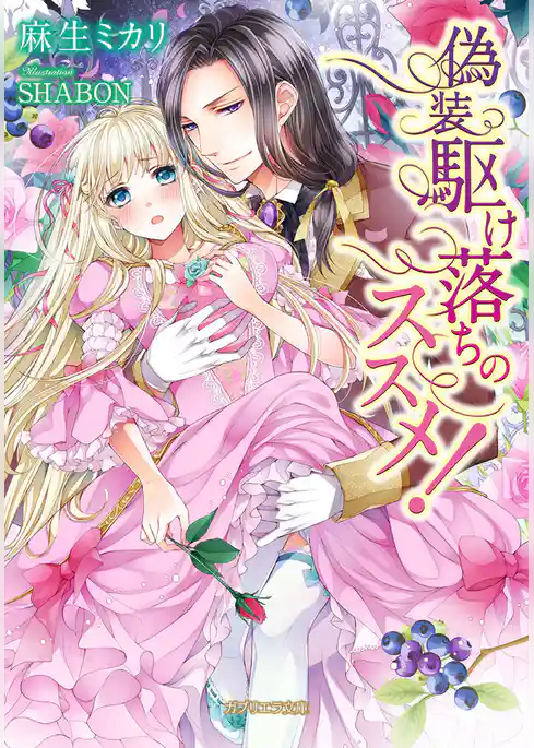 偽装駆け落ちのススメ！