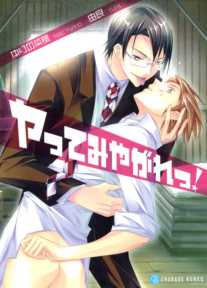 ヤってみやがれっ!