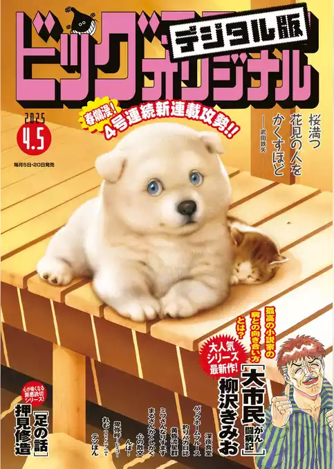 ビッグコミックオリジナル