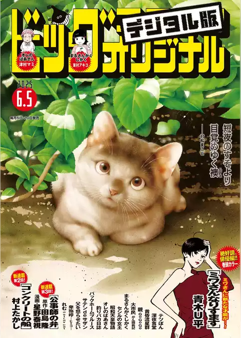 ビッグコミックオリジナル