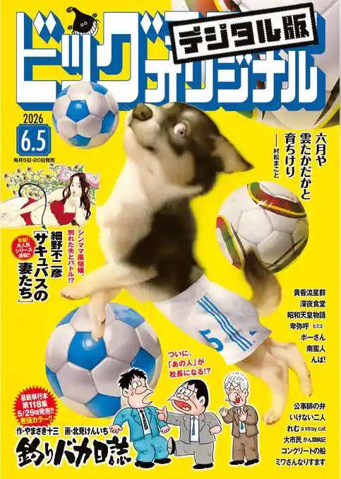 ビッグコミックオリジナル