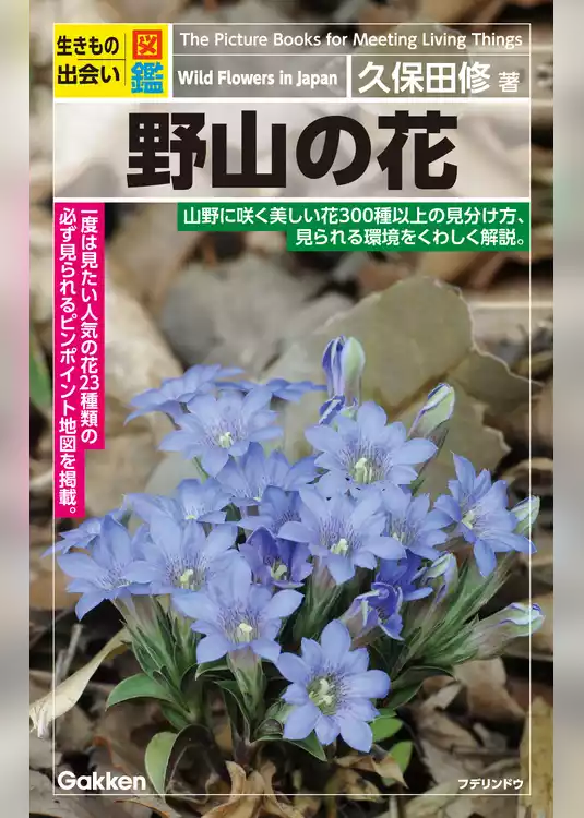 野山の花