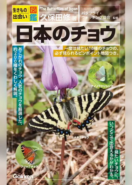 日本のチョウ