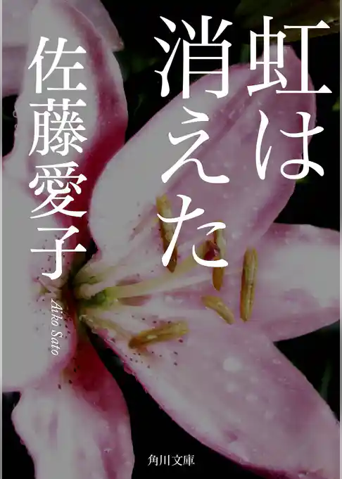 虹は消えた