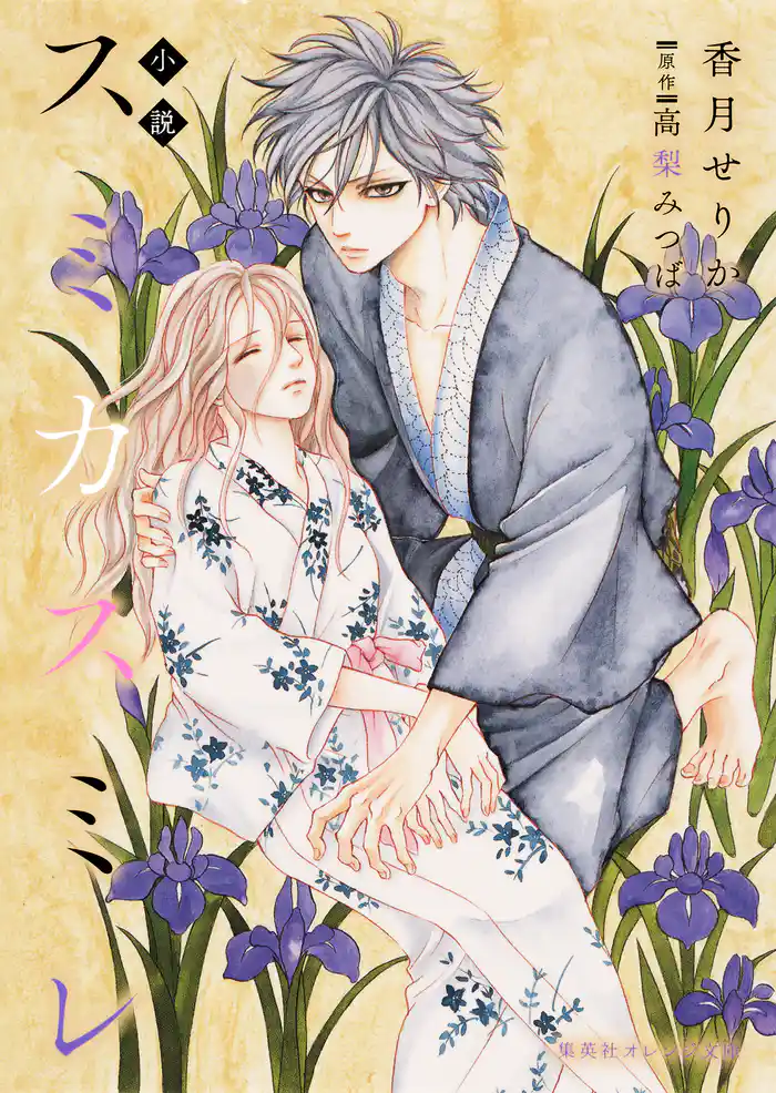 小説 スミカスミレ