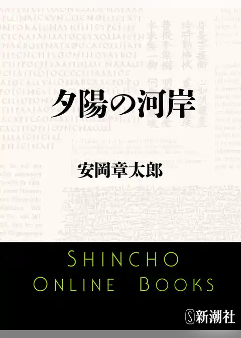 夕陽の河岸