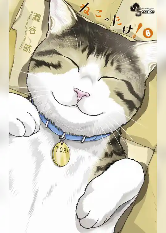 ねこったけ！