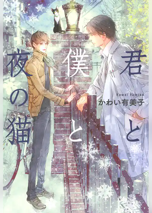 君と僕と夜の猫