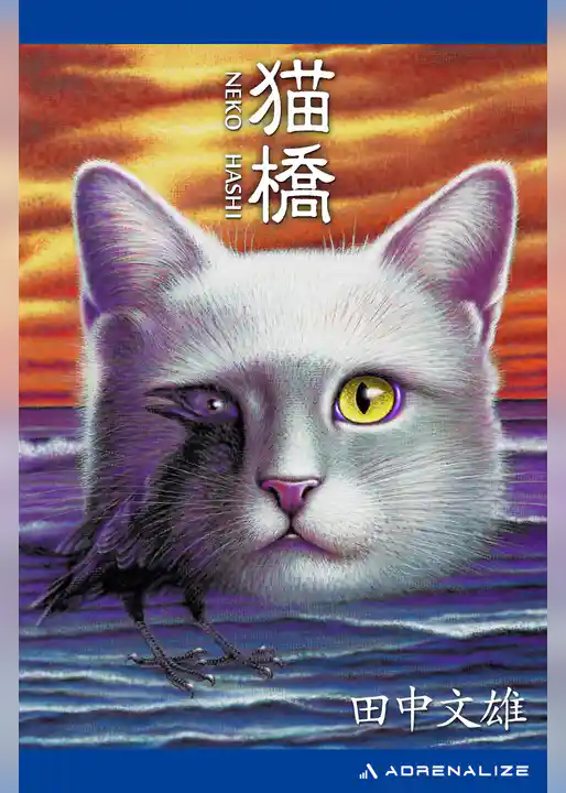 猫橋