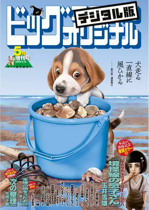 ビッグコミックオリジナル増刊