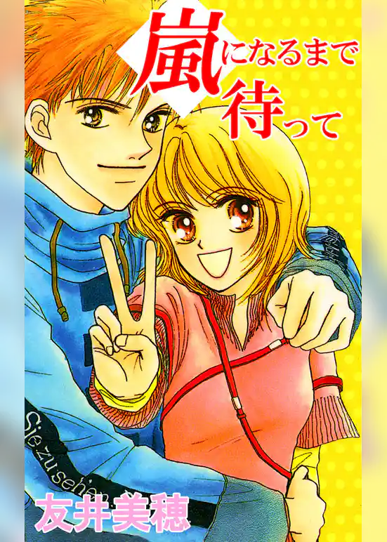 嵐になるまで待って