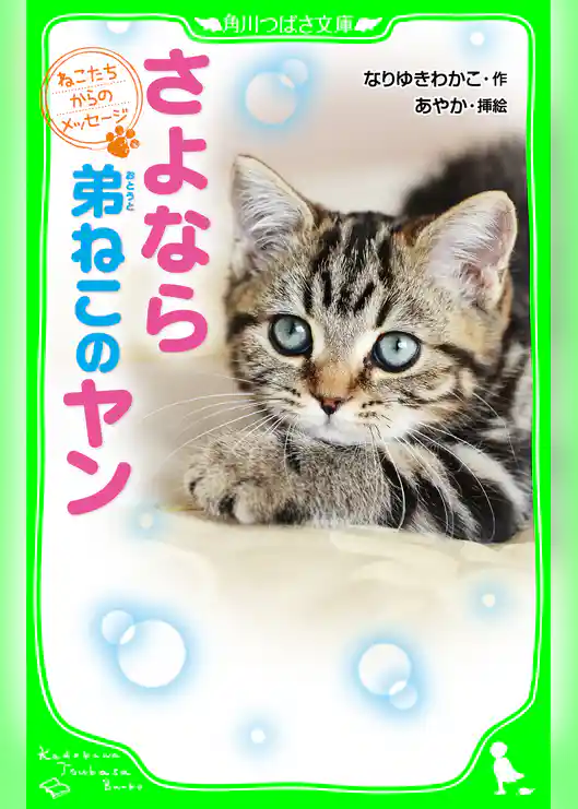 ねこたちからのメッセージ