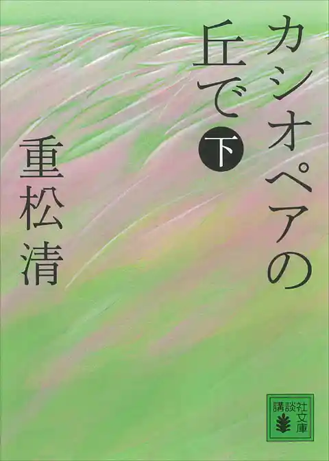 カシオペアの丘で
