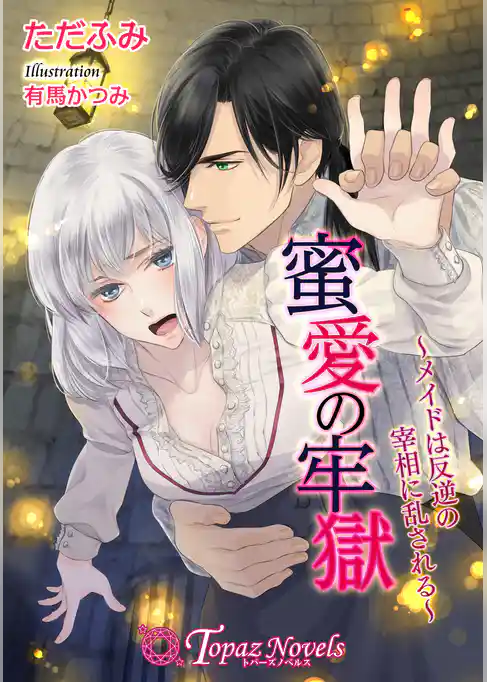 蜜愛の牢獄～メイドは反逆の宰相に乱される～【書下ろし・イラスト10枚入り】