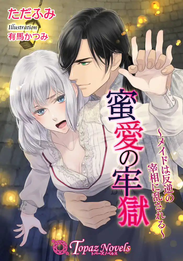 蜜愛の牢獄~メイドは反逆の宰相に乱される~【書下ろし・イラスト10枚入り】