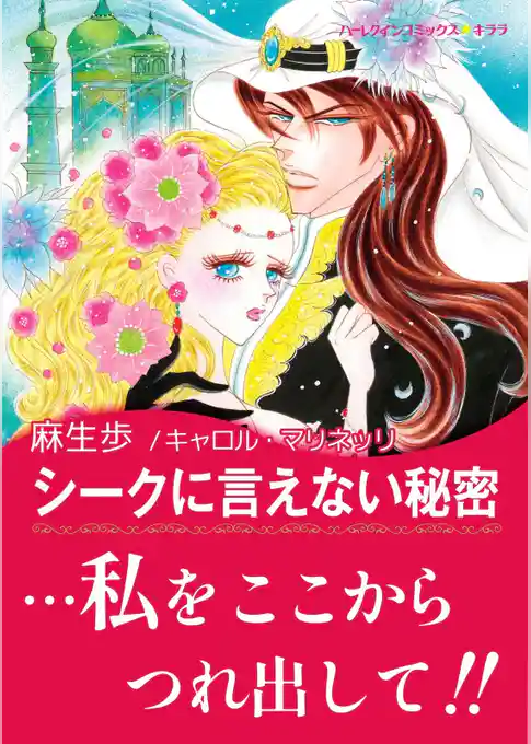 シークに言えない秘密