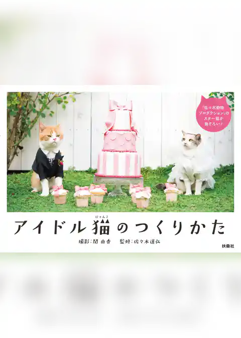 アイドル猫のつくりかた