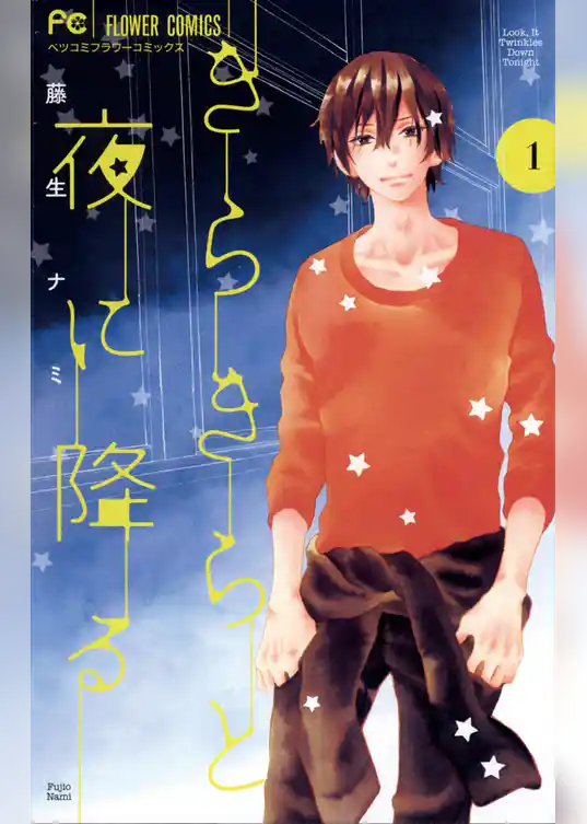 きらきらと夜に降る