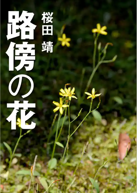 路傍の花