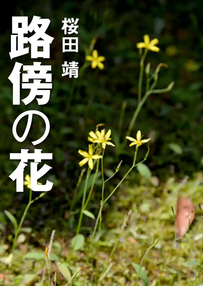 路傍の花