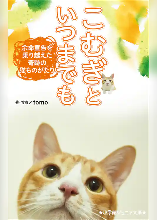 小学館ジュニア文庫 こむぎといつまでも ~余命宣告を乗り越えた奇跡の猫ものがたり~