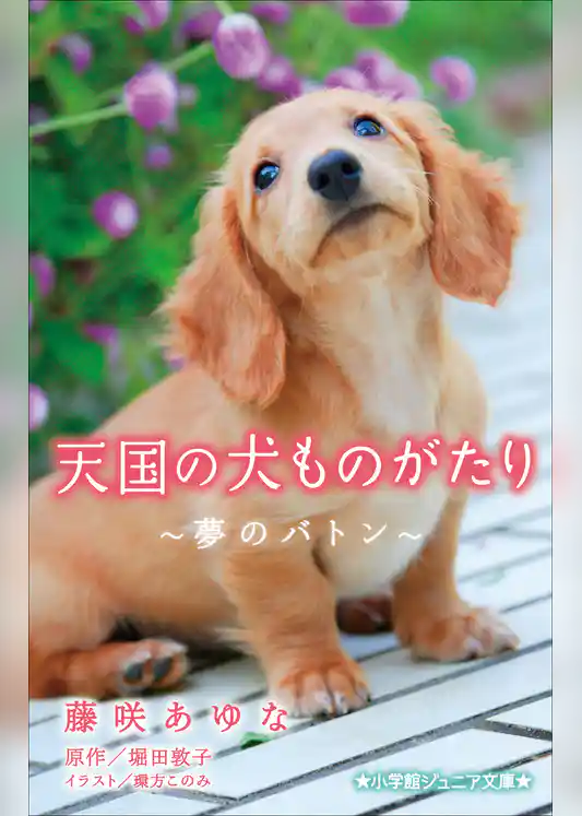 小学館ジュニア文庫　天国の犬ものがたり～夢のバトン～
