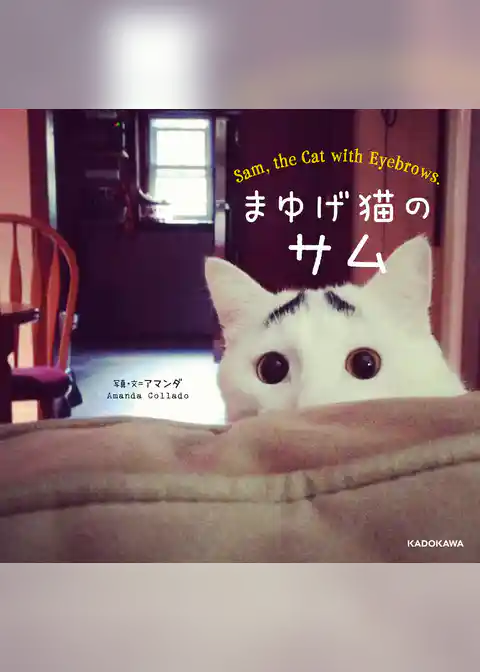 まゆげ猫のサム