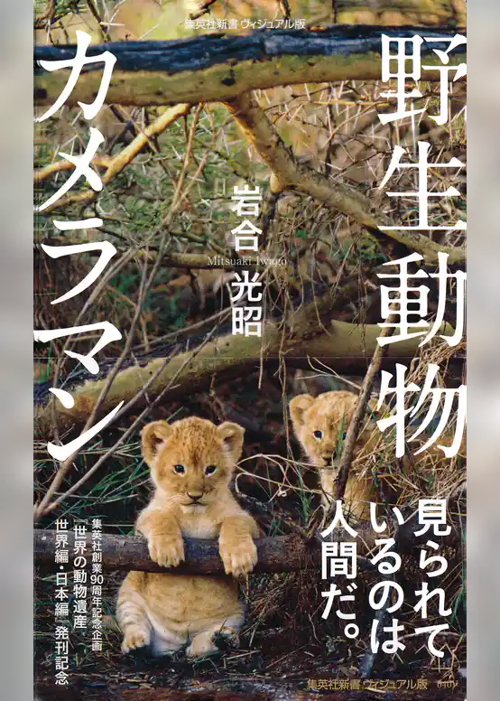 野生動物カメラマン