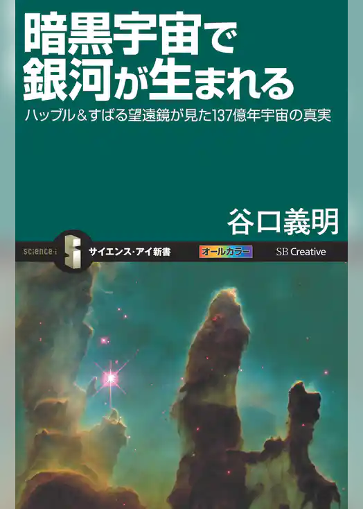 暗黒宇宙で銀河が生まれる　ハッブル＆すばる望遠鏡が見た137億年宇宙の真実