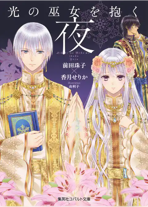 光の巫女を抱く夜