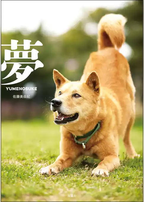 夢－YUMENOSUKE－