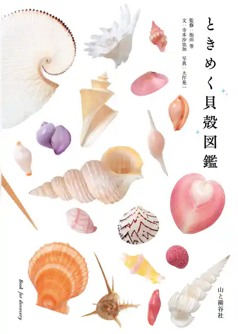 ときめく貝殻図鑑