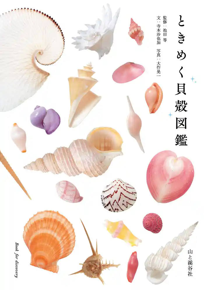 ときめく貝殻図鑑