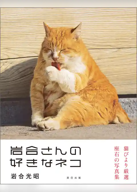 岩合光昭写真集 岩合さんの好きなネコ