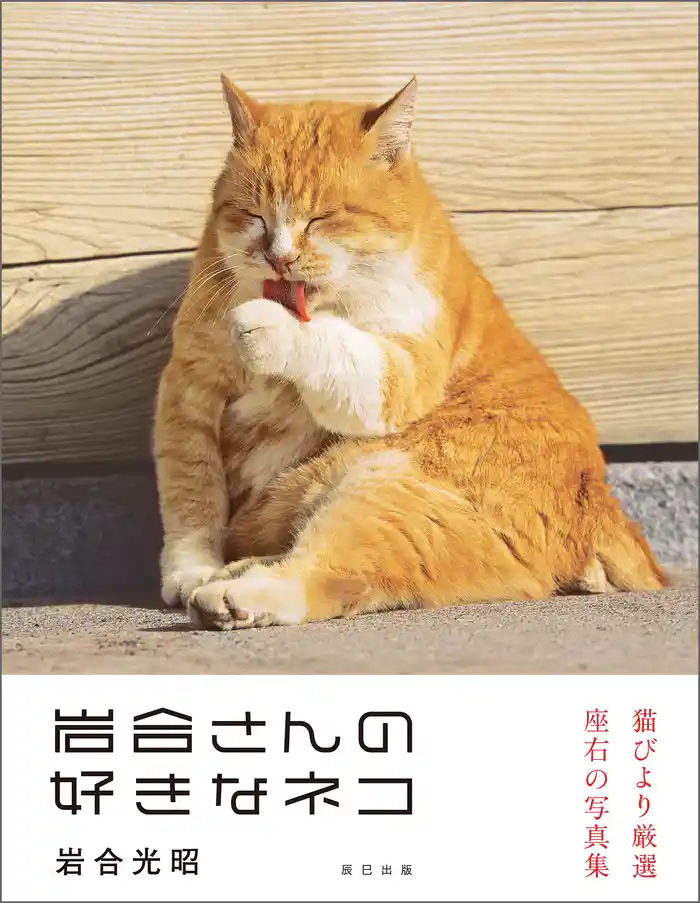 岩合光昭写真集 岩合さんの好きなネコ