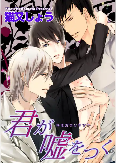 君が嘘をつく 【短編】