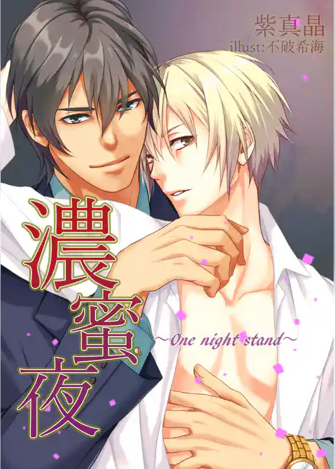 濃蜜夜～One night stand～