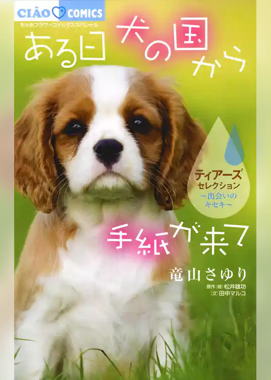 ある日 犬の国から手紙が来て～出会いのキセキ～ ティアーズセレクション