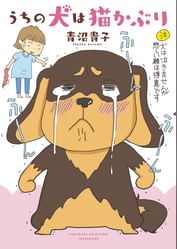 青沼貴子の動画視聴 あらすじ U Next 青沼貴子の動画視聴 あらすじ U Next