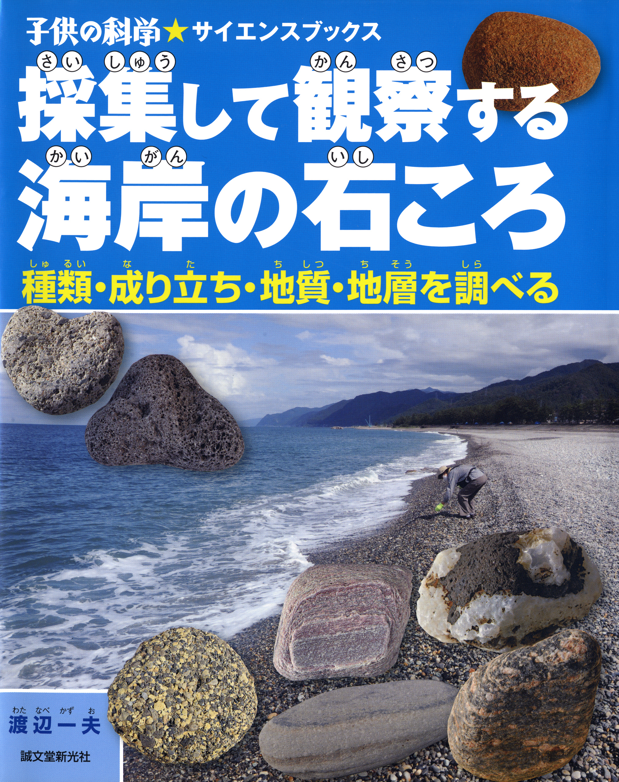 採集して観察する海岸の石ころ：種類・成り立ち・地質・地層を調べる(書籍) - 電子書籍 | U-NEXT 初回600円分無料