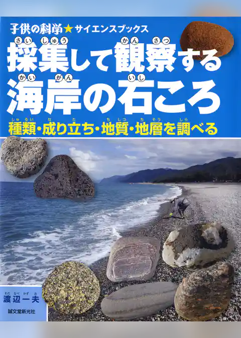 採集して観察する海岸の石ころ：種類・成り立ち・地質・地層を調べる