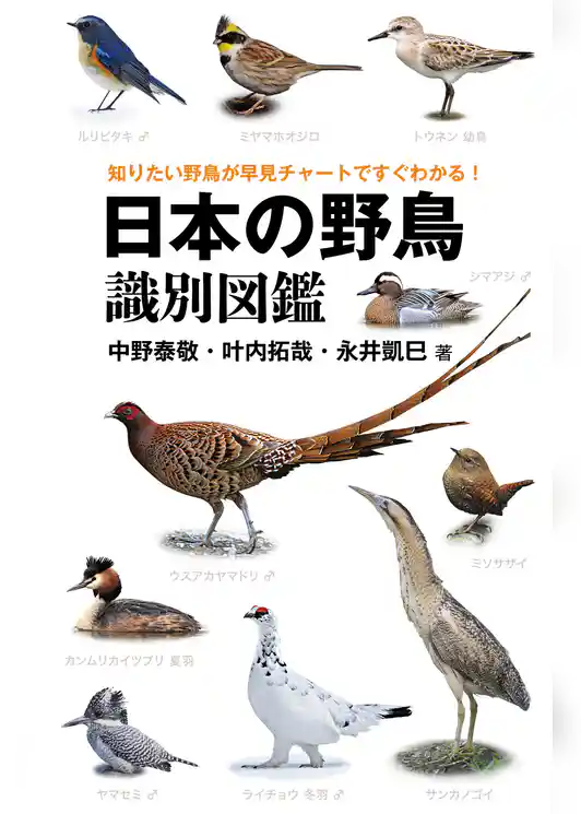 日本の野鳥識別図鑑