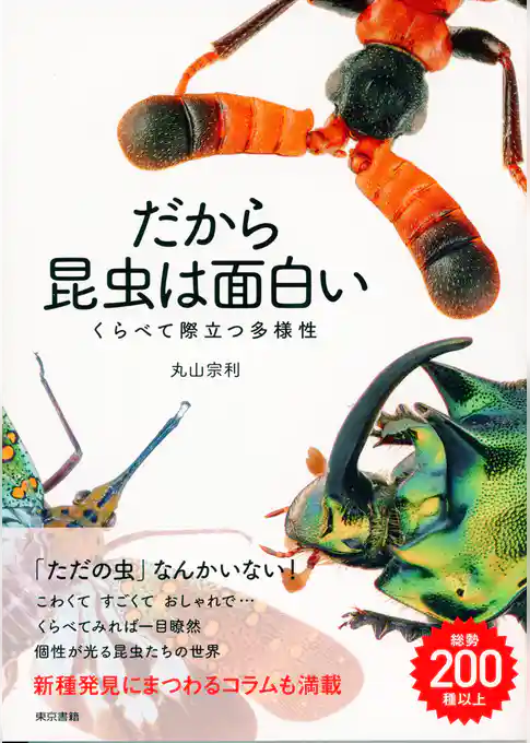 だから昆虫は面白い　くらべて際立つ多様性
