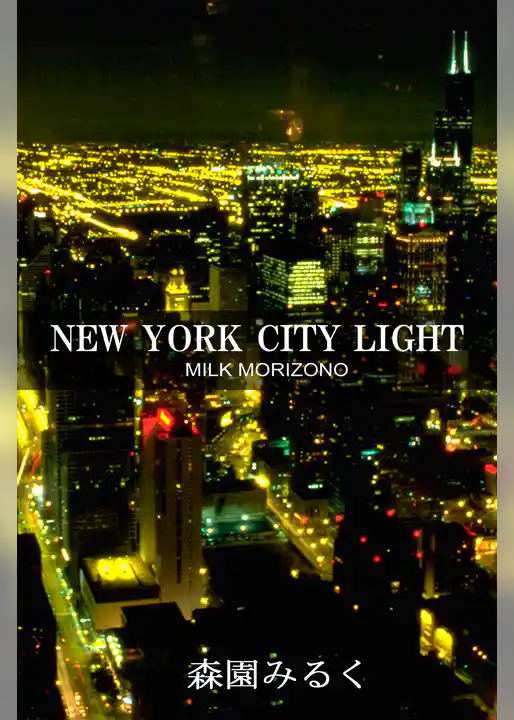 NEW YORK CITY LIGHT
